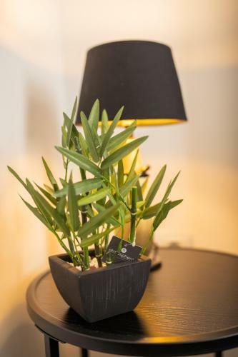 Hostal Elenas Rooms & Apartment