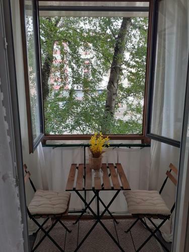 City Park Apartment