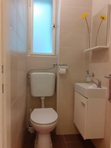 City Park Apartment