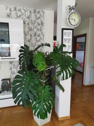 Apartman Fenjer