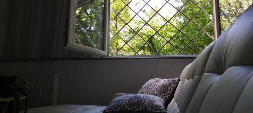 Apartman Folka No1