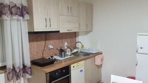 Apartment Centar