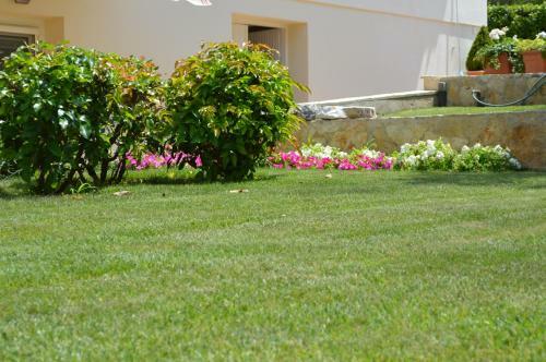 Apartmani Milin