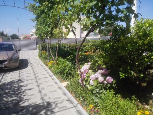 Apartmani Stadion