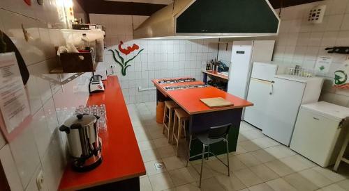 The Lazy Monkey Hostel & Apartments
