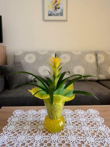 Apartman Adriana