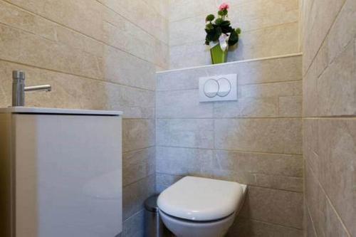 Apartment Skadenca