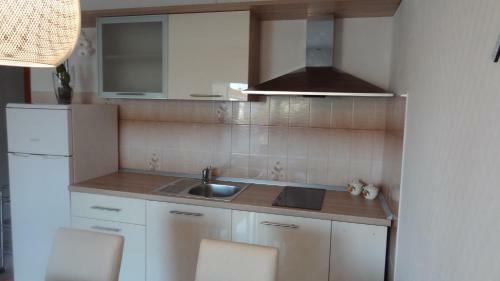 Apartman "roko"