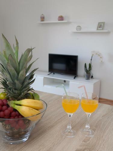 Apartman "roko"