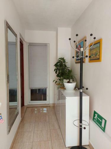 Maslina Apartment