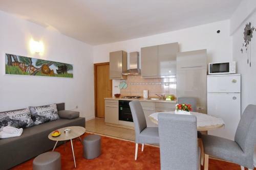 Studio Apartment Visnjik