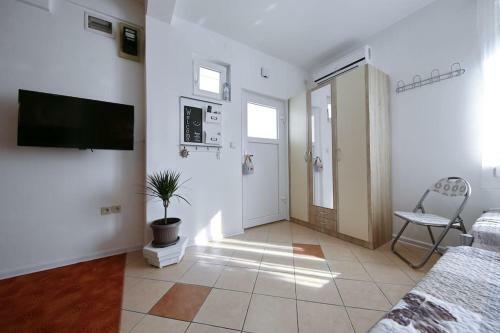 Studio Apartment Visnjik