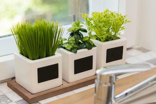 Apartamentos Deluxe Suite Navis