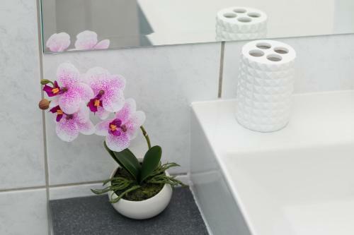 Apartamentos Deluxe Suite Navis