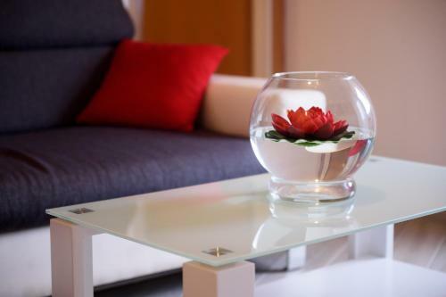 Apartmani Judita