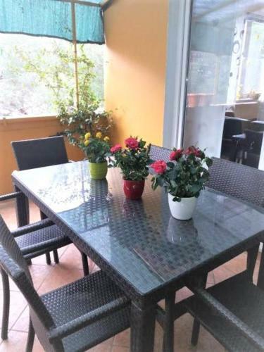 Apartman Lu?ica