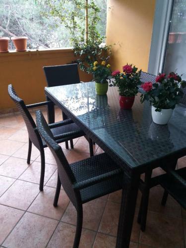 Apartman Lu?ica