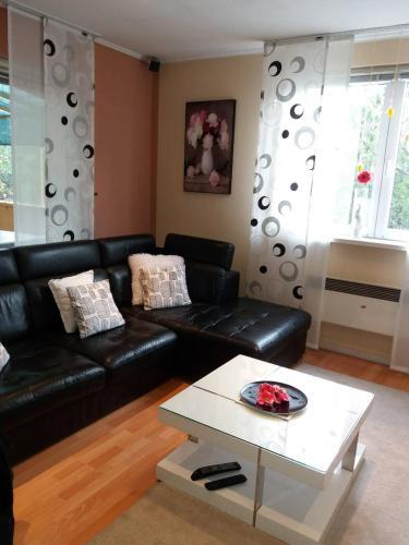 Apartman Lu?ica