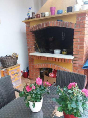 Apartman Lu?ica