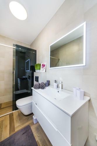 Luxury Apartment Goldy