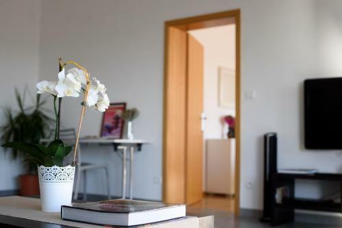 Apartamentos Zadar Modern Appartment 4 Pers
