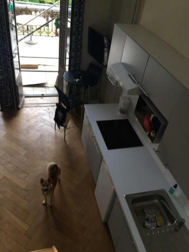 Apartamentos Le Revard Aix Les Bains