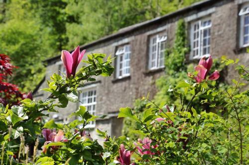 Elterwater Hostel