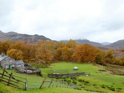 The Cottage