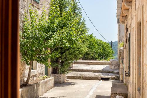 Isolated & Relaxing House - Kosarni Do Village, Orebi?