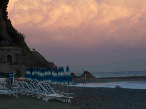 Apartamento A Due Passi Dal Mare Appartamento Con Giardino