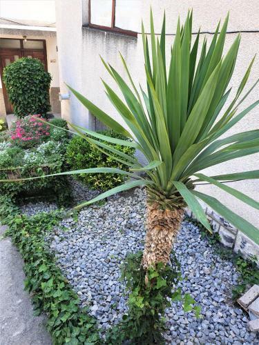 Apartamento Grey Lux Kumanovo
