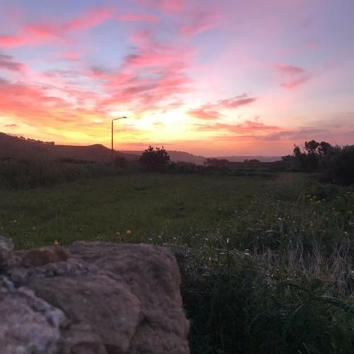 Dar Il-hena Organic B&B