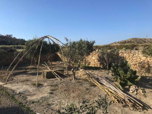 Dar Il-hena Organic B&B