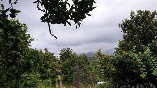 Hostal Chakvi View Guest House