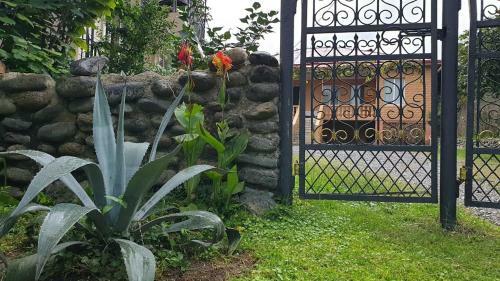 Hostal Chakvi View Guest House