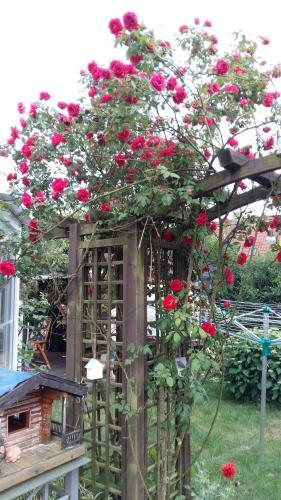 Apartamento Romantikgarten