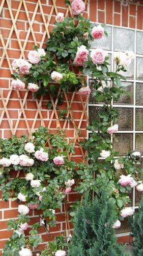 Apartamento Romantikgarten