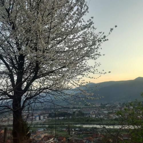 Apartamento Villa Jasikovac