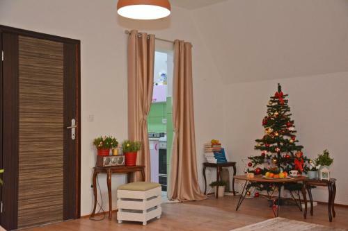 Apartamento Villa Jasikovac