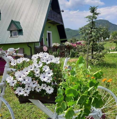Apartamento Villa Jasikovac