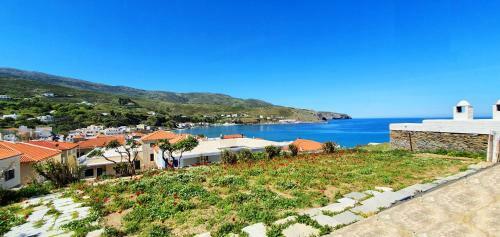 Andros Apartment - Lasia