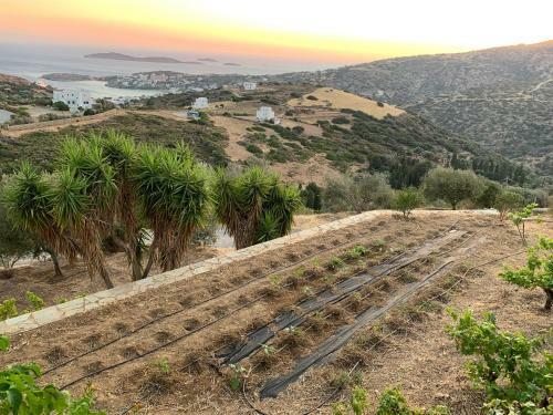 Villa Andros Eco Lodge
