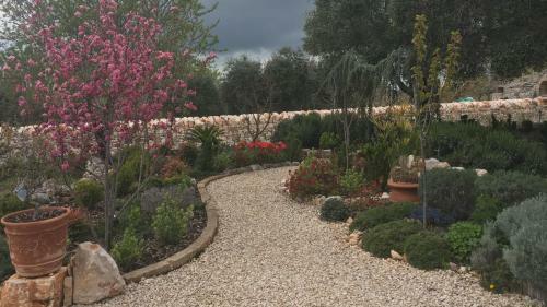 Apartamento 16 Trulli E Giardini