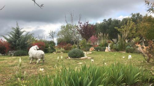 Apartamento 16 Trulli E Giardini
