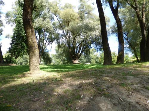 Bega Apartman