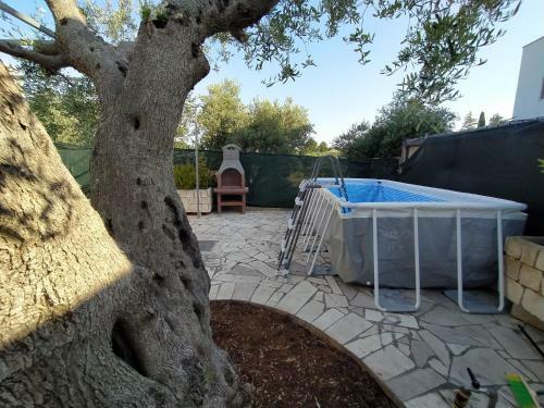 Casa Dell'ulivo - Relax Lumieri - A Due Passi Dal Centro Alberobello