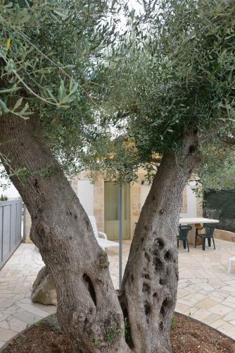 Casa Dell'ulivo - Relax Lumieri - A Due Passi Dal Centro Alberobello