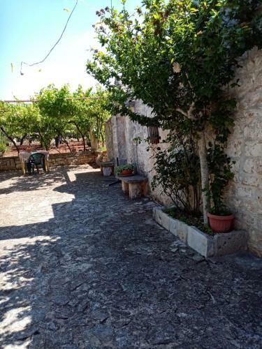 Apartamento Il Trullo E Il Fortino