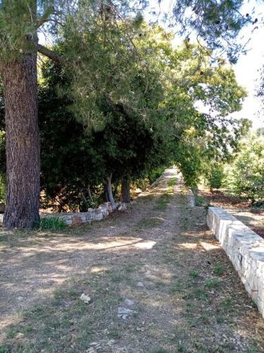 Apartamento Il Trullo E Il Fortino