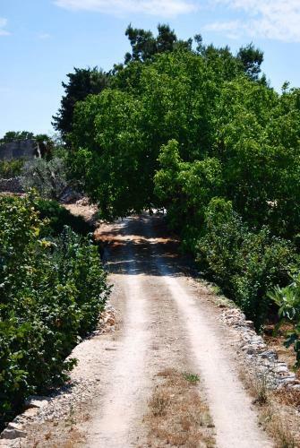 Apartamento Il Trullo E Il Fortino